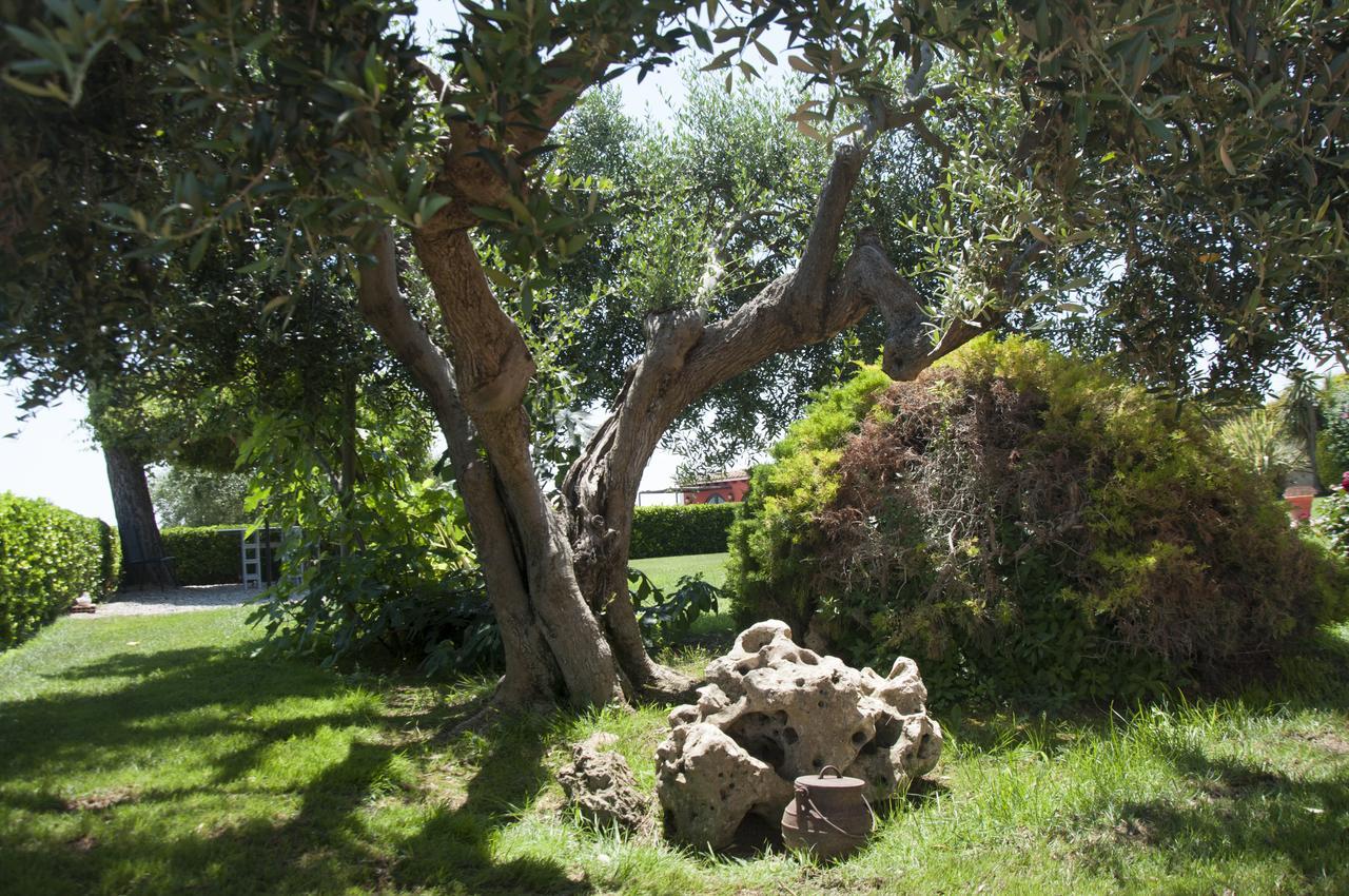 Hotel Rural Cal Ruget Vilobi Del Penedes Exterior foto